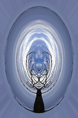 Image showing Abstract Art - Tree Tunnel