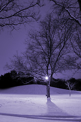 Image showing Light Post, Snowy Hill, Trees and it is Winter Time