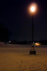 Image showing Park at night after a snow storm