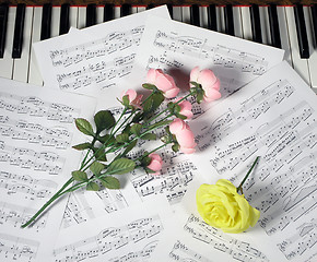 Image showing Flowers and Music