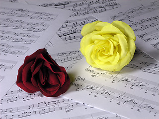 Image showing Roses and Music 2