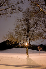 Image showing Light Post, Snowy Hill, Trees and it is Winter Time