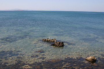 Image showing Two Seagulls and the Sea