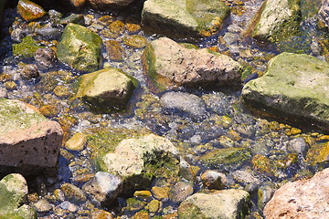 Image showing Wet sea stone, close-up