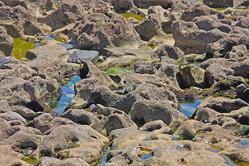 Image showing Wet sea stone, close-up