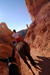 Image showing Riding