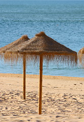 Image showing  View of straw sunshades