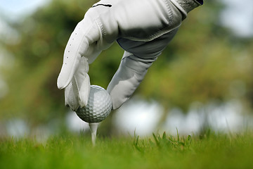 Image showing Close-up of a golf ball
