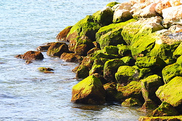 Image showing Rocks on an ocean coast