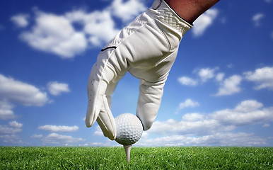 Image showing Close-up of a golf ball