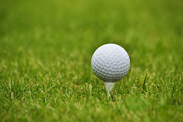 Image showing Golf ball in grass, close up