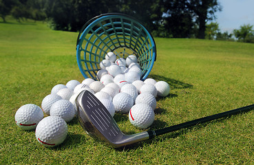 Image showing Golf balls pouring out of basket onto grass