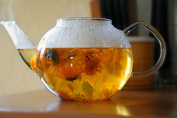 Image showing Calendula tea