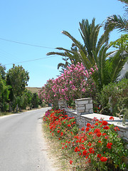 Image showing greek island street scene with flowers