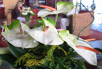 Image showing Anthurium flower decoration