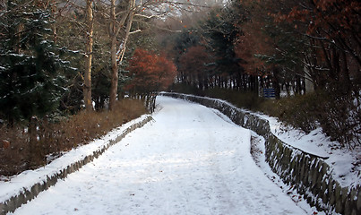 Image showing Winter path