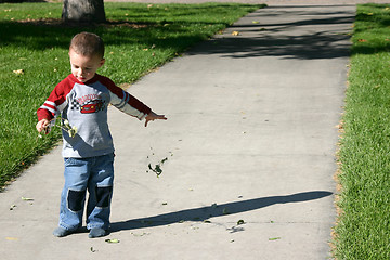 Image showing Tearing off the Leaves