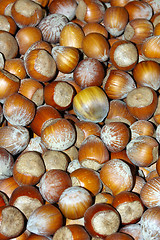 Image showing Hazel Nuts 01