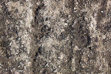 Image showing Concrete Texture 02