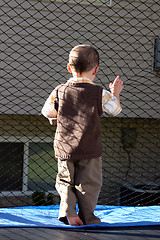 Image showing Little Boy Looking Out the Trampoline