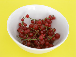 Image showing currant