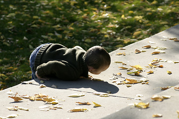 Image showing Kid Climbing Up