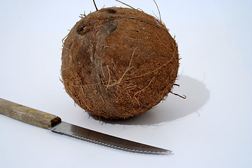 Image showing Coconut and knife