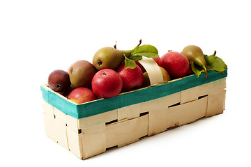 Image showing Basket with apple