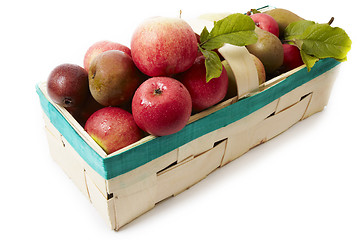 Image showing Basket with apple