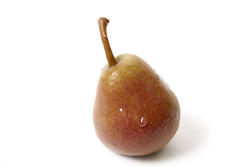 Image showing Pear isolated