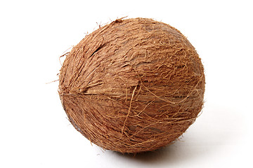 Image showing Coconut isolated