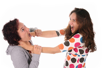 Image showing Two young woman fighting 