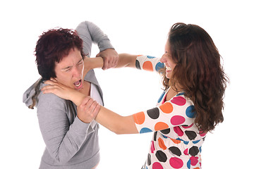 Image showing Two young woman fighting 