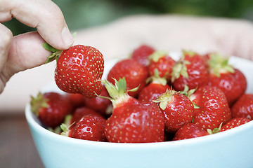 Image showing Holding a strawberry.