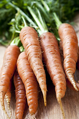 Image showing Carrots