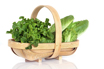 Image showing  Lettuce Varieties in Rustic  Basket