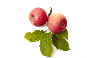 Image showing Ripe fresh red apple with leaf