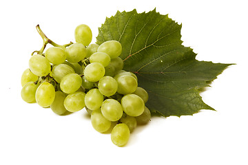 Image showing Green grape