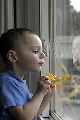 Image showing Child and His Undivided Attention