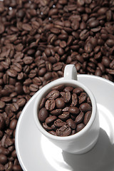 Image showing Coffee Cup and Beans