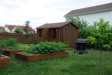 Image showing Square foot gardening