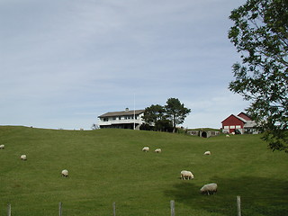 Image showing Farm