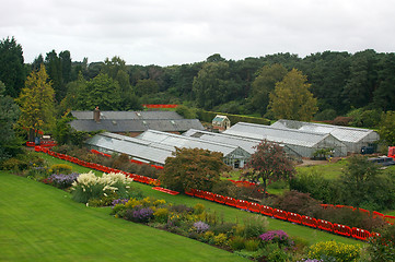 Image showing Horticultural Greenhouses 01