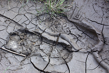 Image showing Muddy Footprints 01