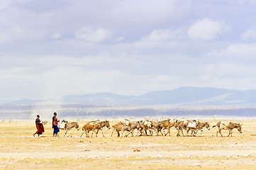 Image showing Desert merchants