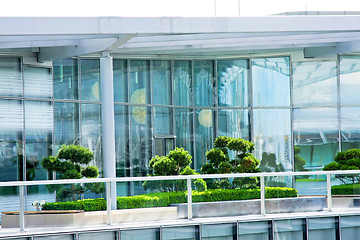 Image showing Windows and garden