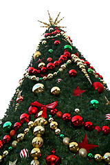 Image showing Christmas Tree