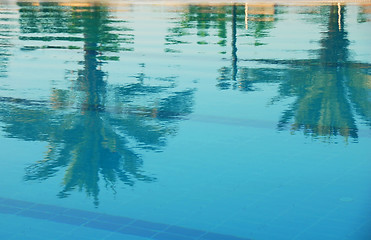 Image showing Palms reflection in pool