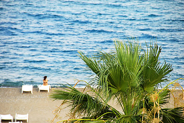 Image showing Beach landscape