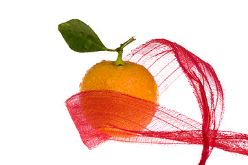 Image showing christmas sweet in red bow. orange fruit